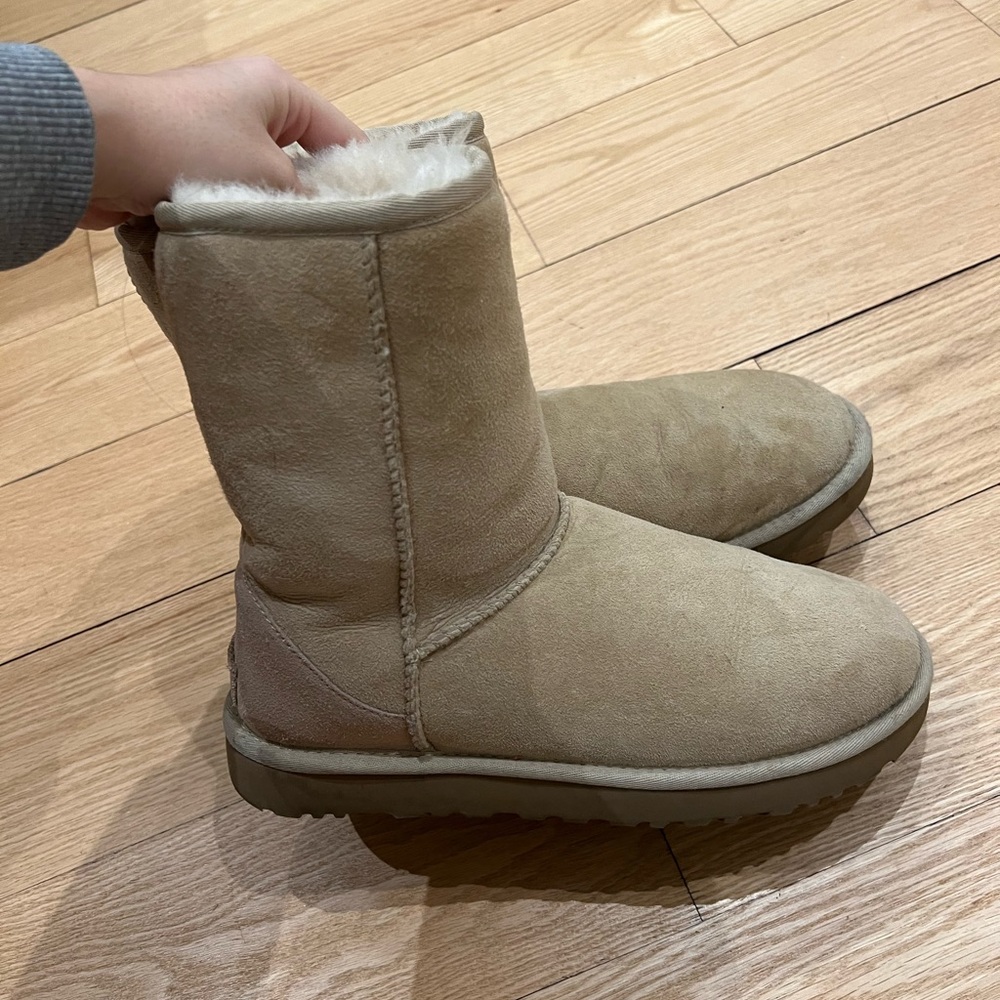Classic Uggs - image 1